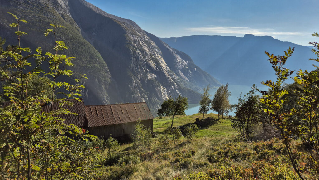 Kjeåsen farm framed by green leaf trees. Mountains and fjord seen in the background.