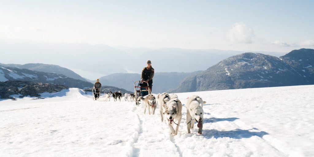 Husky dogs pulling two sleds with two mushers.